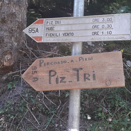 Casa Vacanza Pineta Malonno ภายนอก รูปภาพ