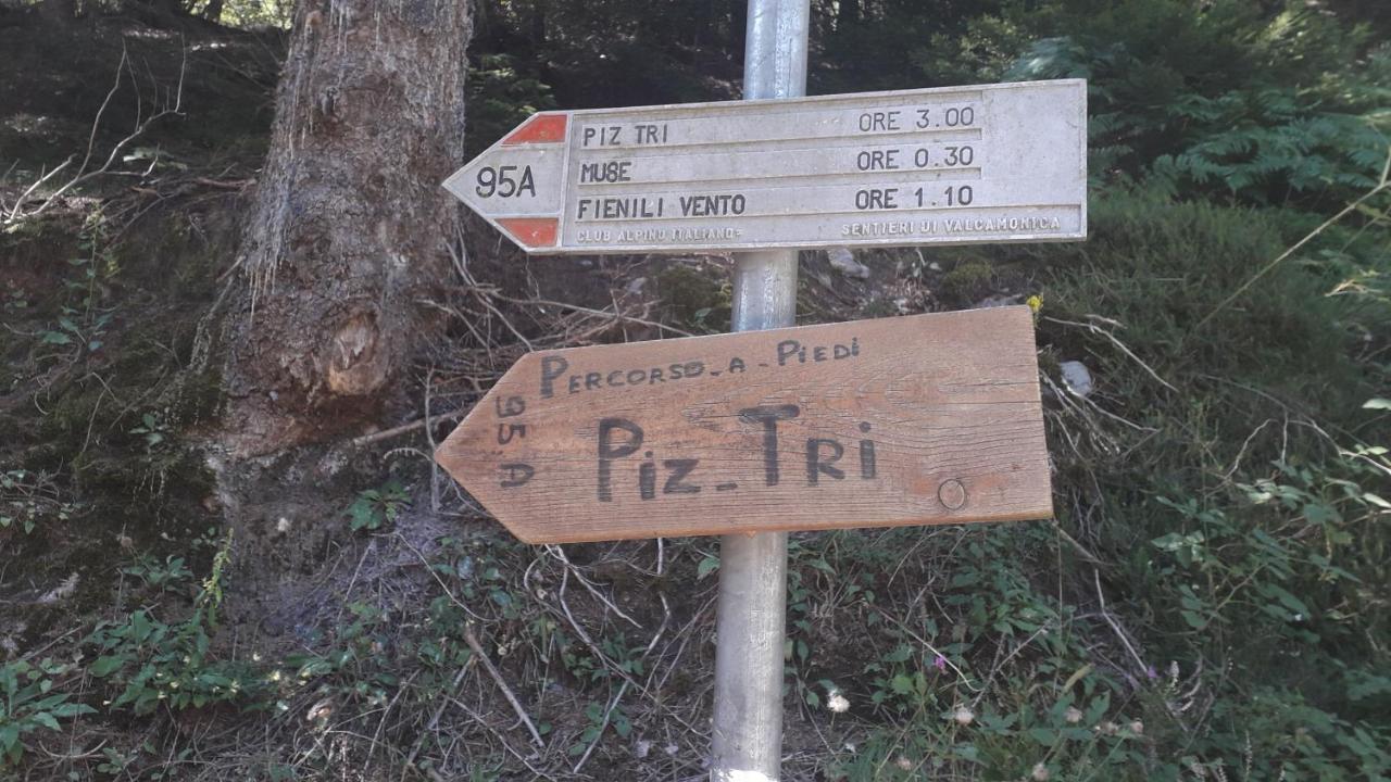 Casa Vacanza Pineta Malonno ภายนอก รูปภาพ