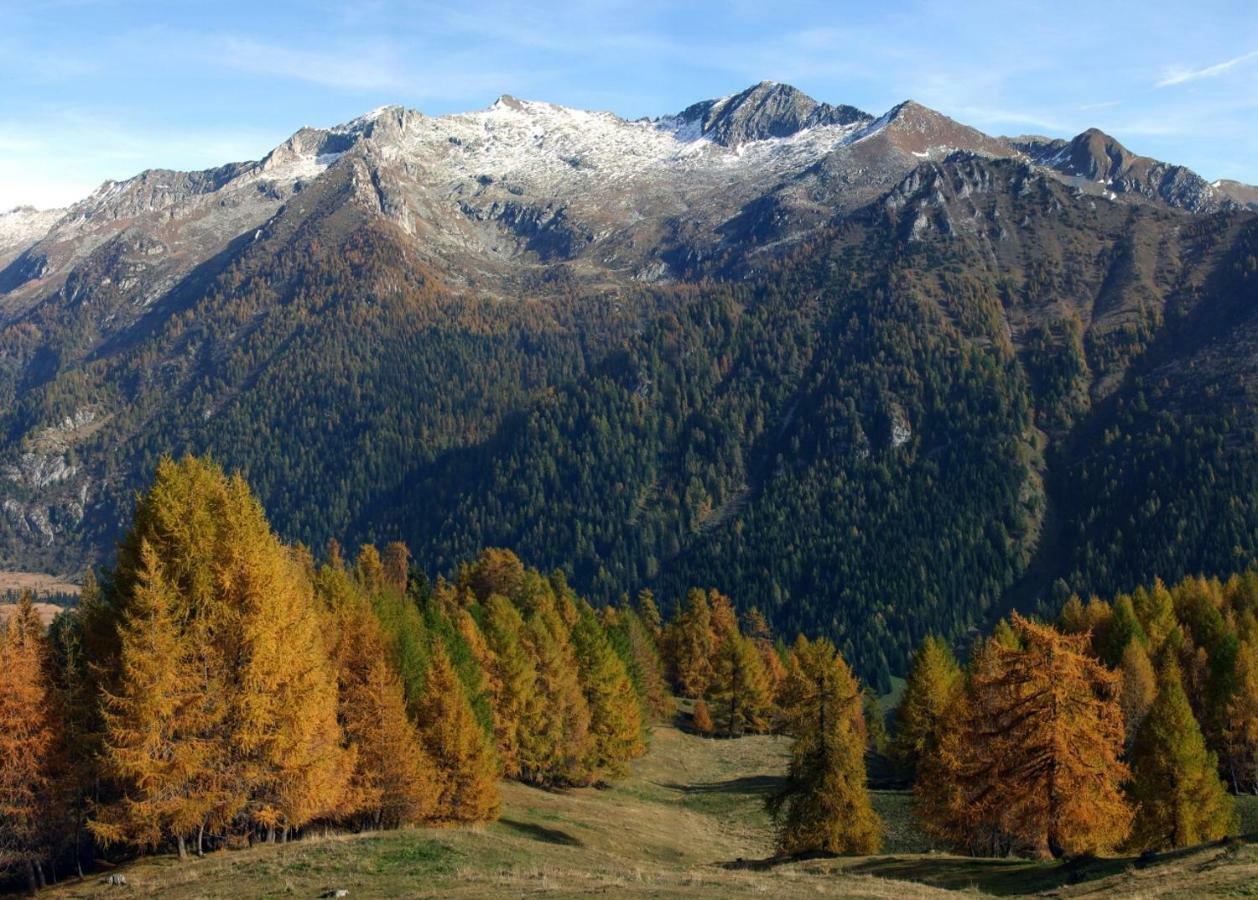 Casa Vacanza Pineta Malonno ภายนอก รูปภาพ