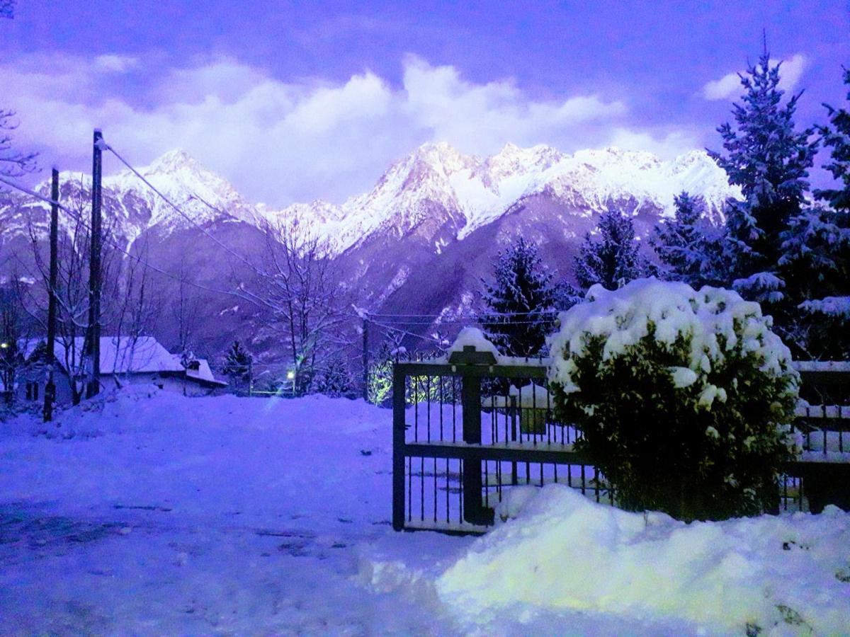 Casa Vacanza Pineta Malonno ภายนอก รูปภาพ